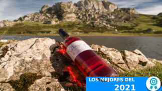 Estuche de 2 botellas de Vino Rabicu rosado