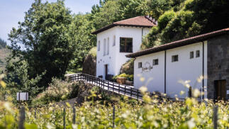 Visita guiada a la Bodega Monasterio de Corias con cata degustación y productos asturianos IGP